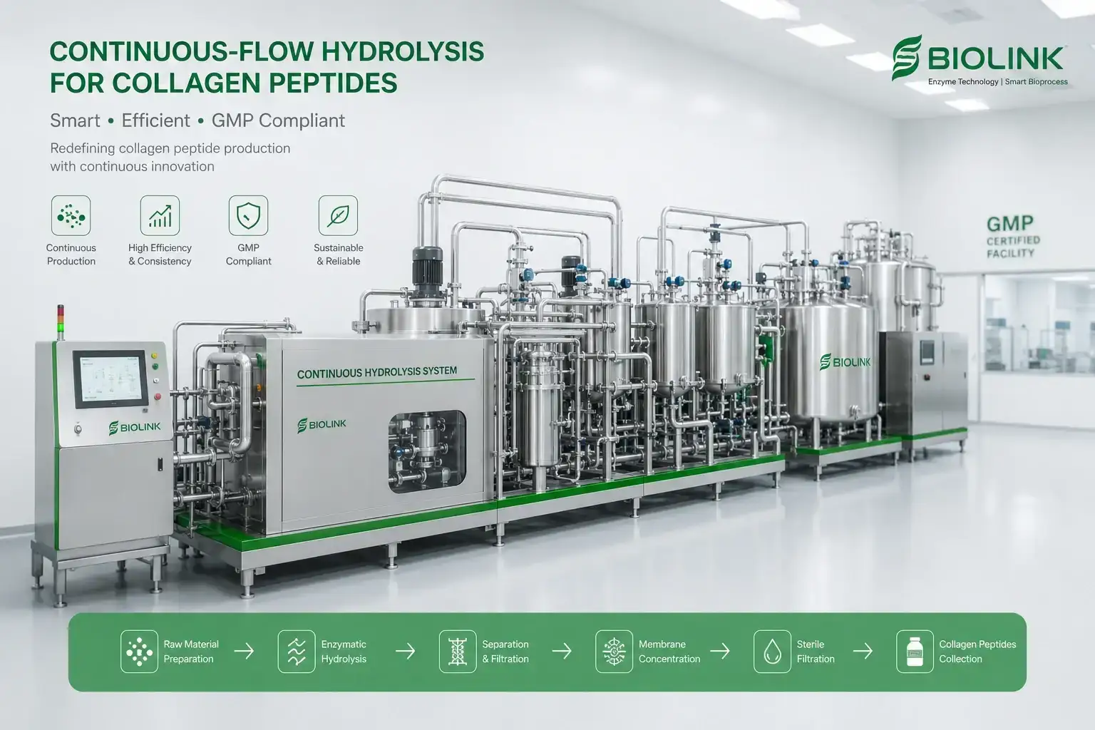 continuous-flow hydrolysis production line for collagen peptides in GMP factory