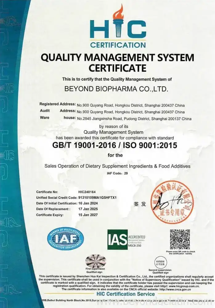 ISO 9001 CN Certificate