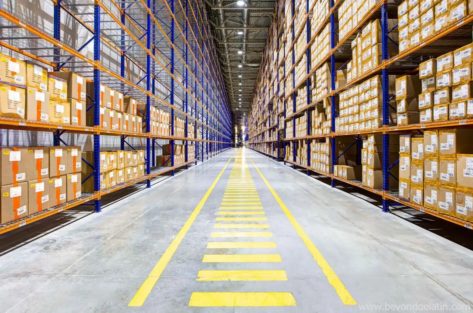 Logistics Management