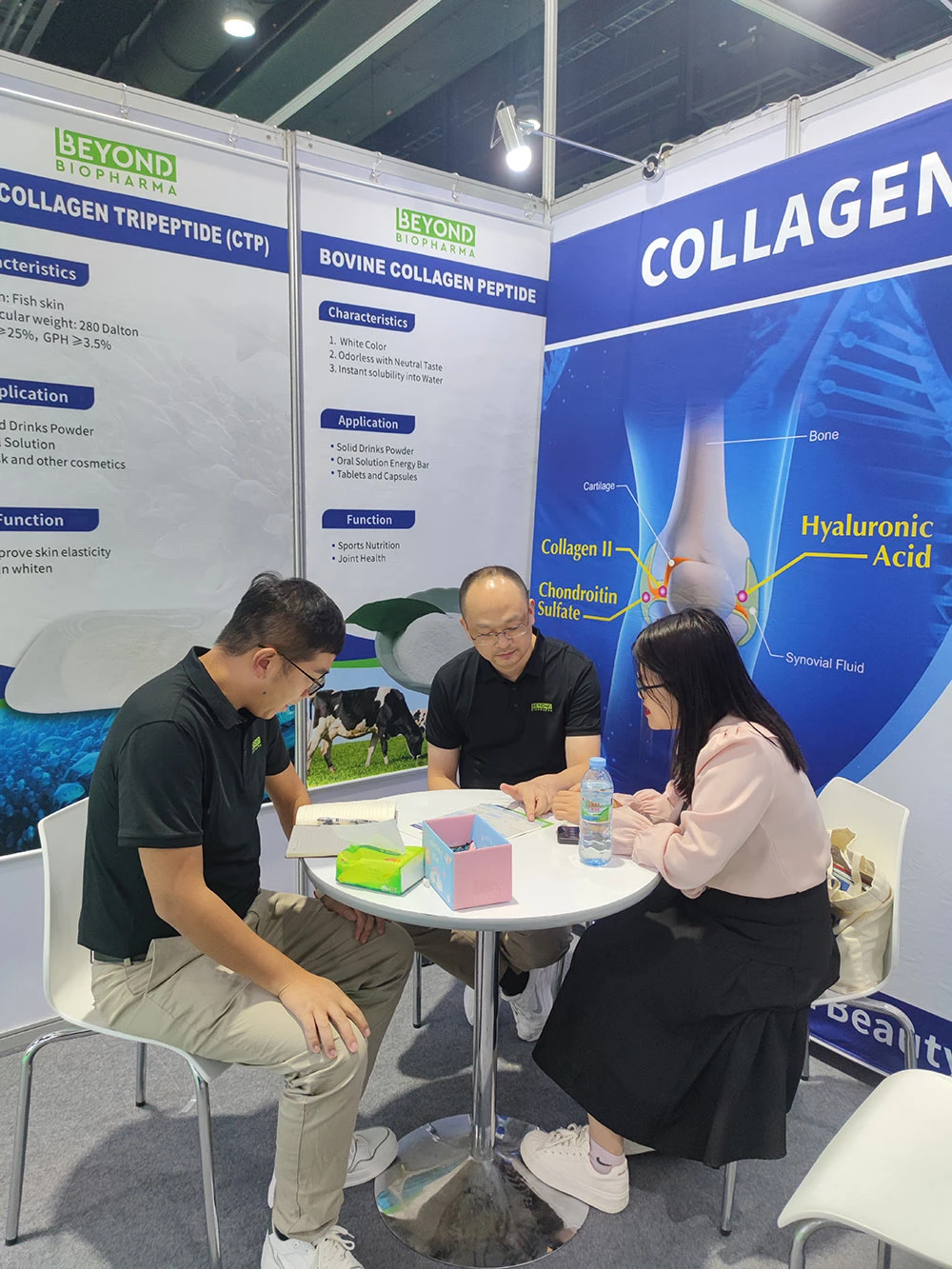 งานนิทรรศการ 6