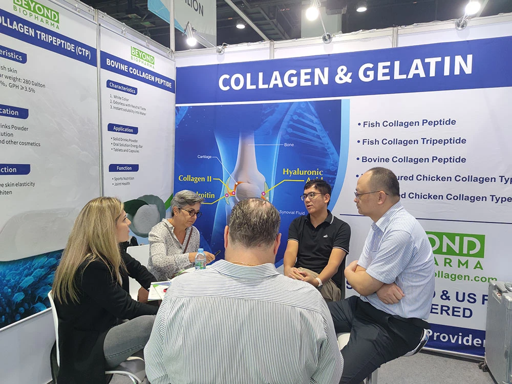 งานนิทรรศการ 8