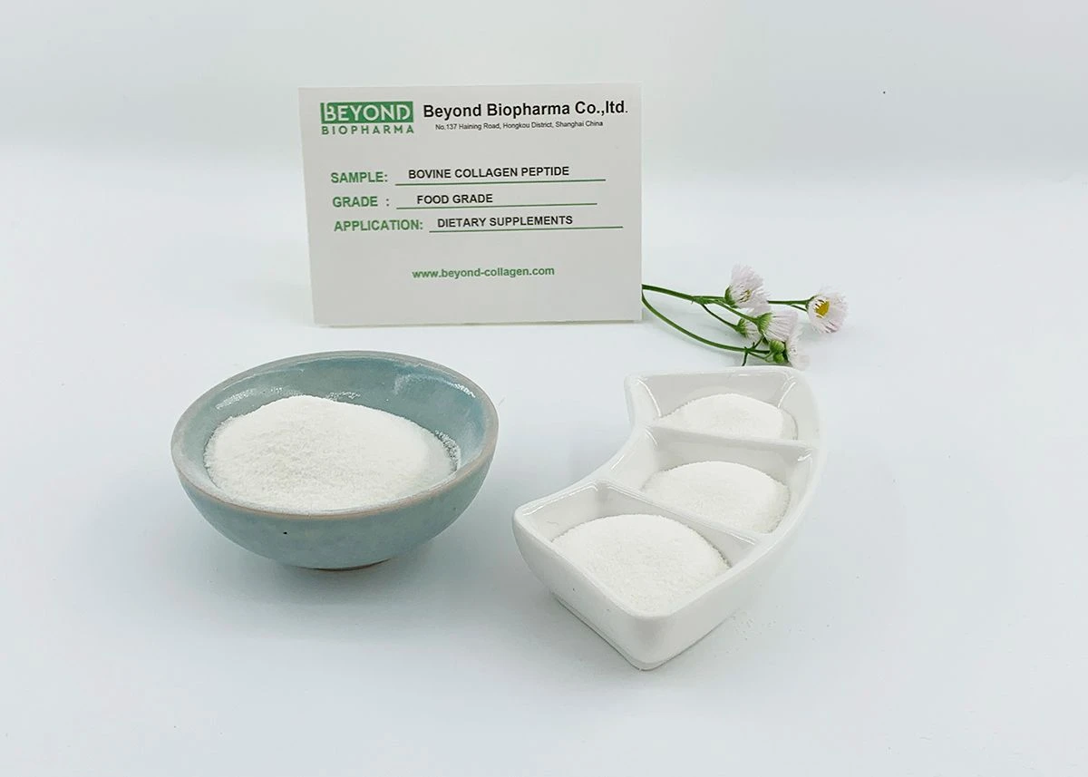 Premium Pharmaceutical Gelatin Powder for Capsule Manufacturing