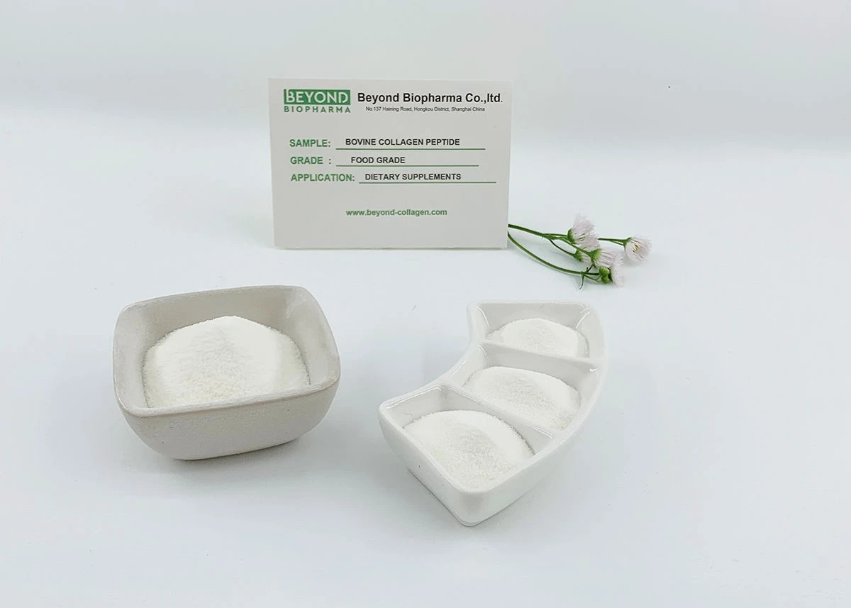 Premium Pharmaceutical Gelatin Powder for Capsule Manufacturing