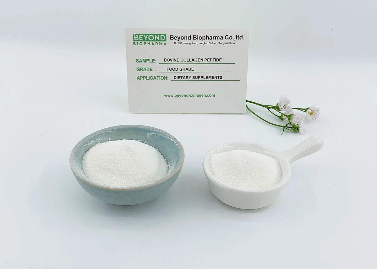 Premium Pharmaceutical Gelatin Powder for Capsule Manufacturing