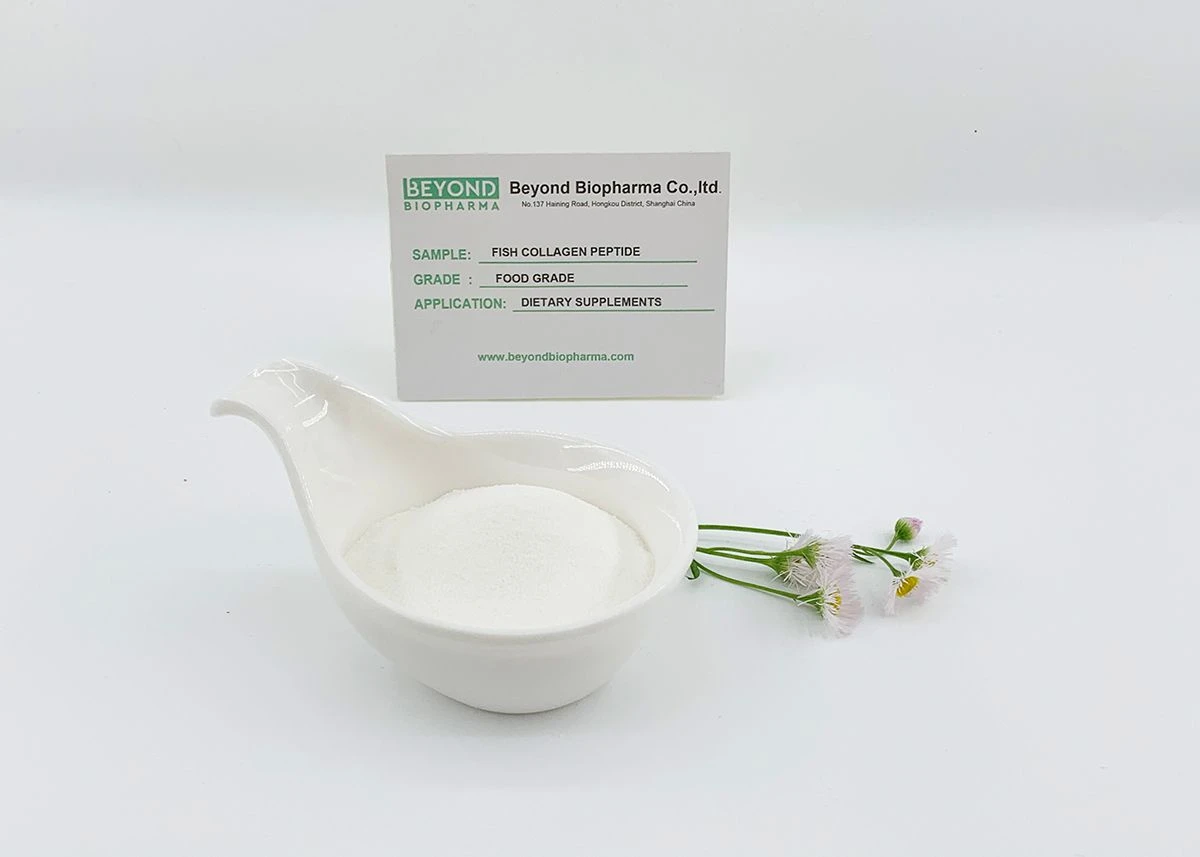 Premium Pharmaceutical Gelatin Powder for Capsule Manufacturing