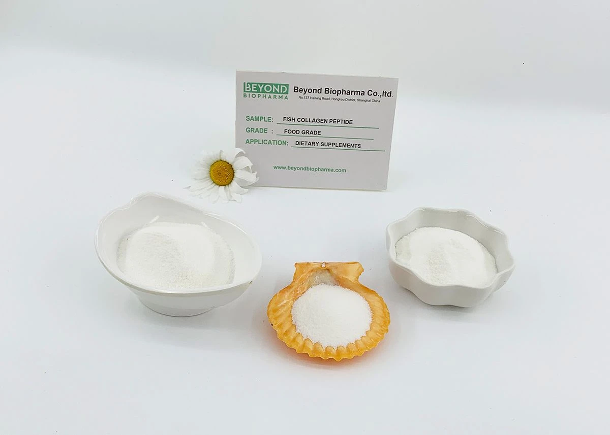 Premium Pharmaceutical Gelatin Powder for Capsule Manufacturing