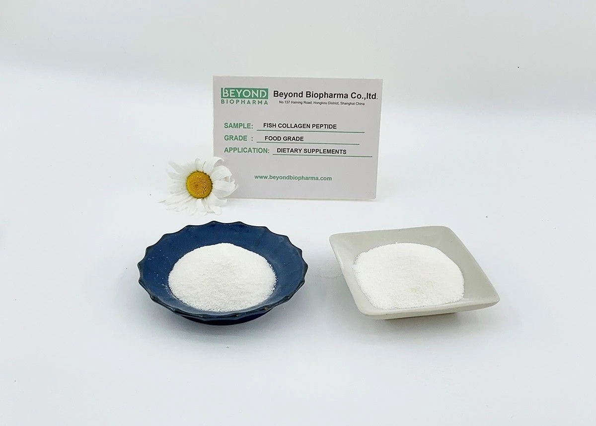 Premium Pharmaceutical Gelatin Powder for Capsule Manufacturing