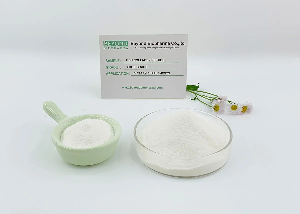 Premium Pharmaceutical Gelatin Powder for Capsule Manufacturing