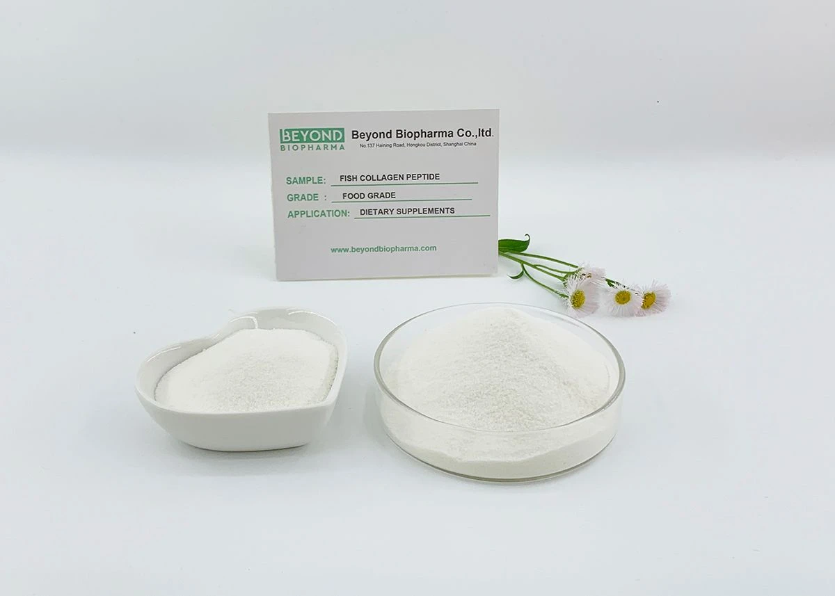 Premium Pharmaceutical Gelatin Powder for Capsule Manufacturing