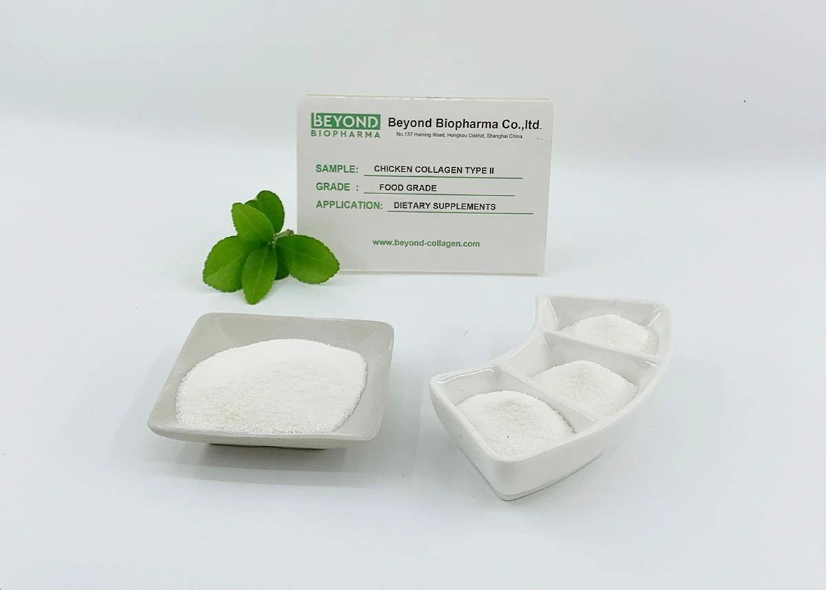 Premium Pharmaceutical Gelatin Powder for Capsule Manufacturing