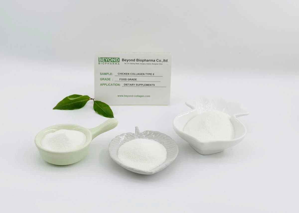 Premium Pharmaceutical Gelatin Powder for Capsule Manufacturing