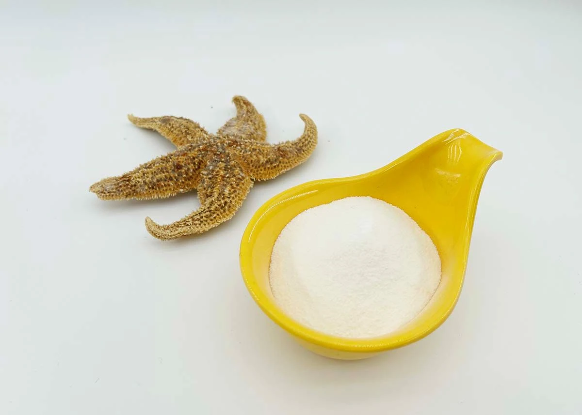 Premium Pharmaceutical Gelatin Powder for Capsule Manufacturing